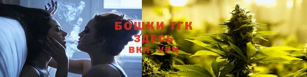 прущий лед Михайлов