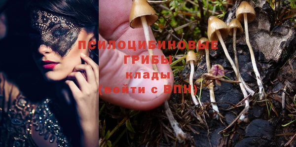 прущий лед Медвежьегорск