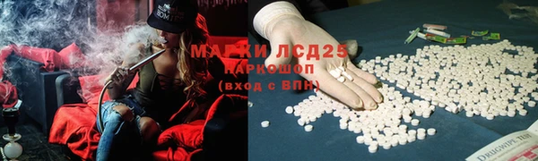трава Магас