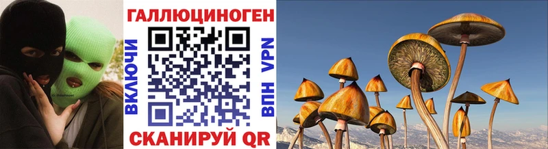Псилоцибиновые грибы мухоморы  где купить наркоту  Морозовск 