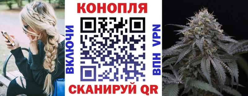 блэк спрут маркетплейс  Морозовск  Каннабис ГИДРОПОН 